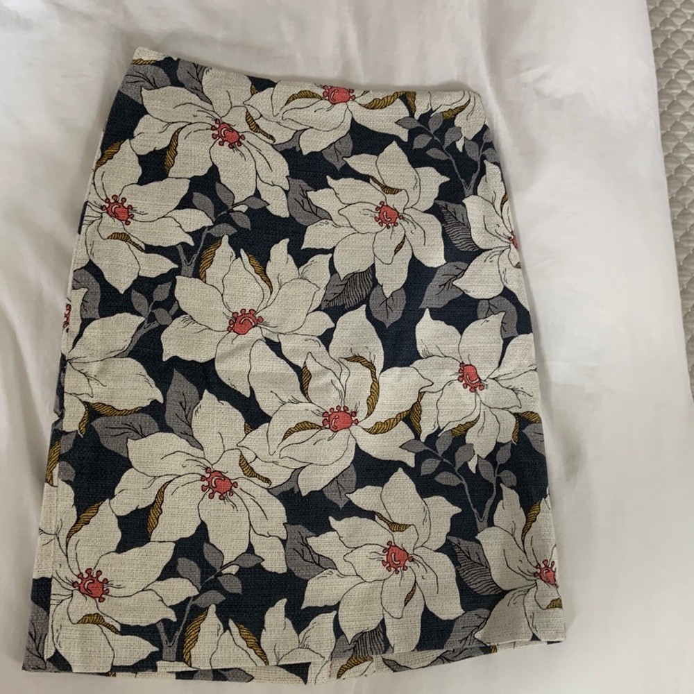 Ann Taylor Pencil Skirt